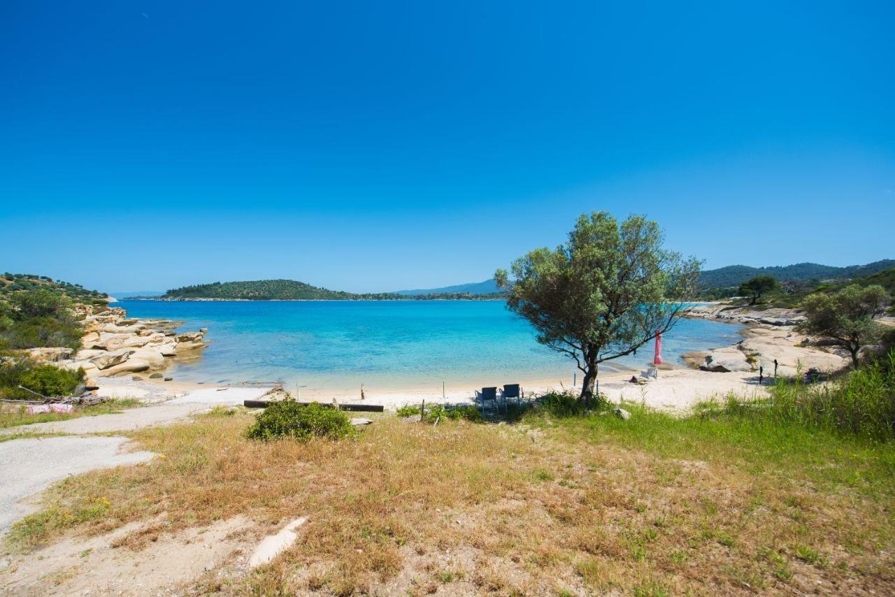 Nereus & Oceanus Beachfront Apartments, Lagonisi Beach #Feelslikehome أورموس باناجياس المظهر الخارجي الصورة